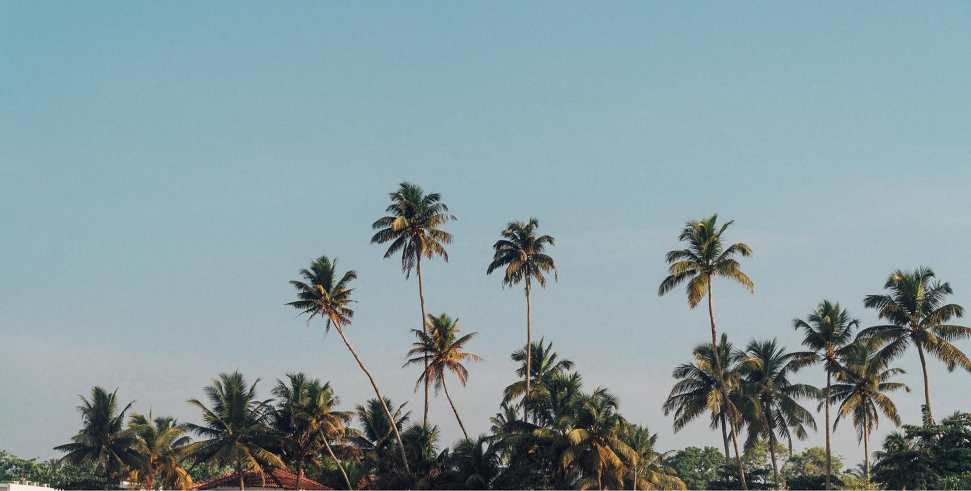 Lucky'S Surf Camp Bed & Breakfast Weligama Bagian luar foto