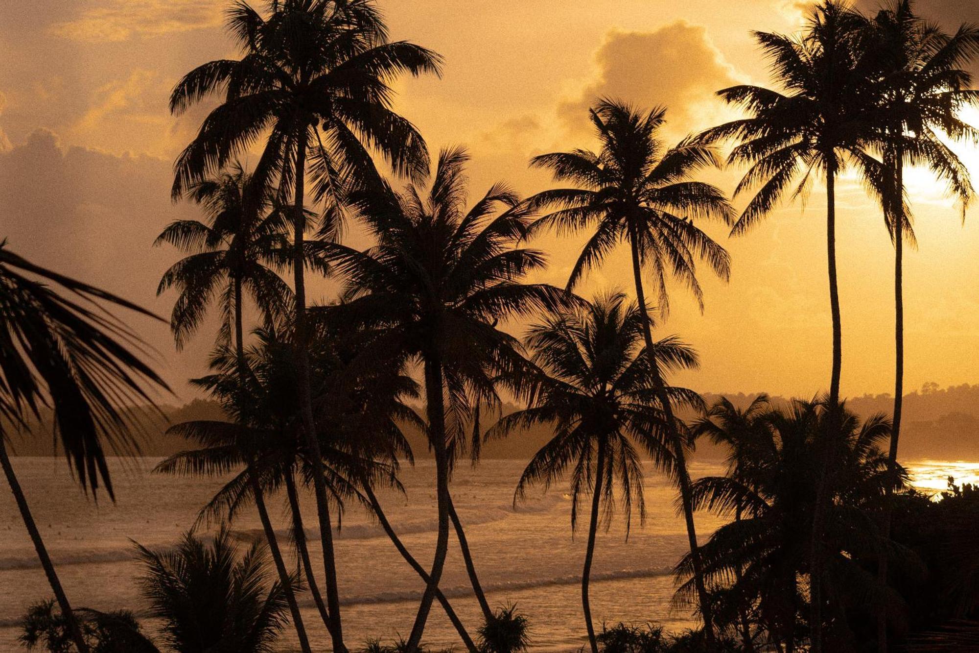 Lucky'S Surf Camp Bed & Breakfast Weligama Bagian luar foto